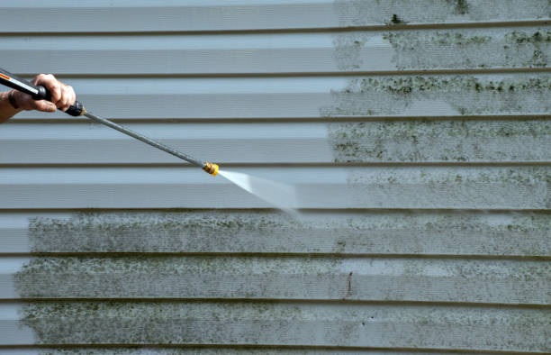 Best Gutter Cleaning  in Eslon, CA